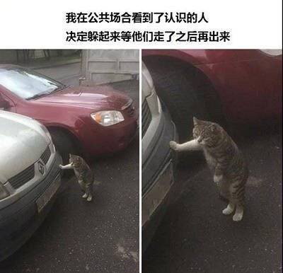 21fc9be37c7c73b71a8a019dcec34eb2.png