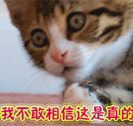 d212d4fb91de698286df9e309767cfb5.gif