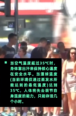 fe16e77310861a19515d41dba7a98828.png